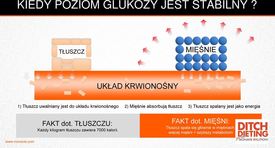 Mięśnie absorbują tłuszcz 3) Tłuszcz spalany jest jako energia FAKT dot.