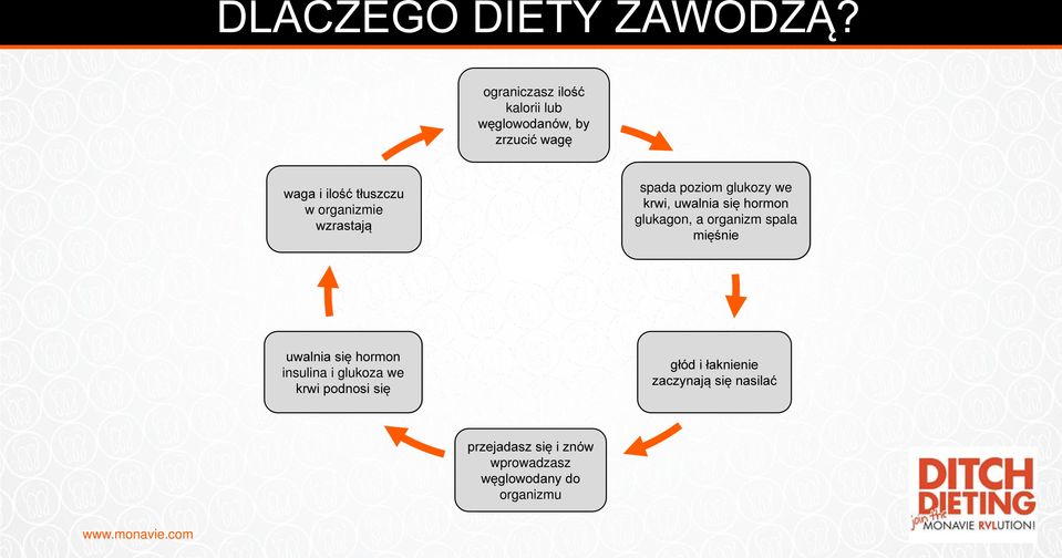 organizmie wzrastają spada poziom glukozy we krwi, uwalnia się hormon glukagon, a organizm