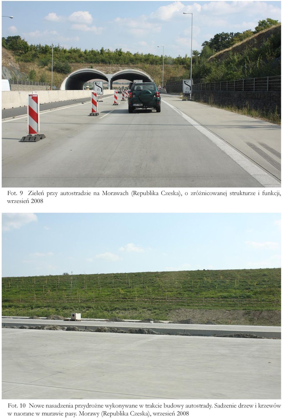 10 Nowe nasadzenia przydrożne wykonywane w trakcie budowy autostrady.