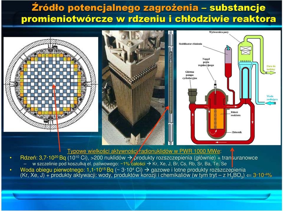 pod koszulką el.