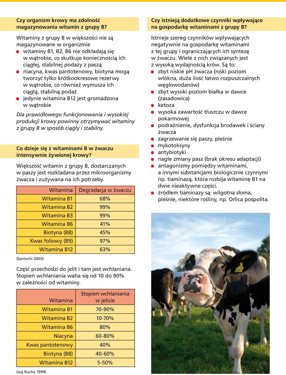 pantotenowy, biotyna mogą tworzyć tylko krótkookresowe rezerwy w wątrobie, co również wymusza ich ciągłą, stabilną podaż jedynie witamina B12 jest gromadzona w wątrobie Dla prawidłowego