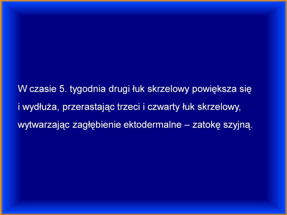 się i wydłuża, przerastając trzeci i