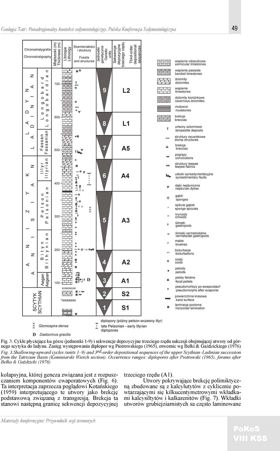 Shallowing-upward cycles (units 1 9) and 3rd-order depositional sequences of the upper Scythian Ladinian succession from the Tatricum Basin (Kominiarski Wierch section).