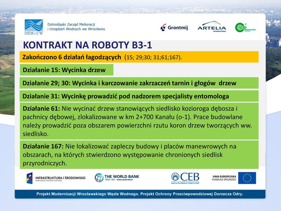 entomologa Działanie 61: Nie wycinad drzew stanowiących siedlisko kozioroga dębosza i pachnicy dębowej, zlokalizowane w km 2+700 Kanału (o-1).