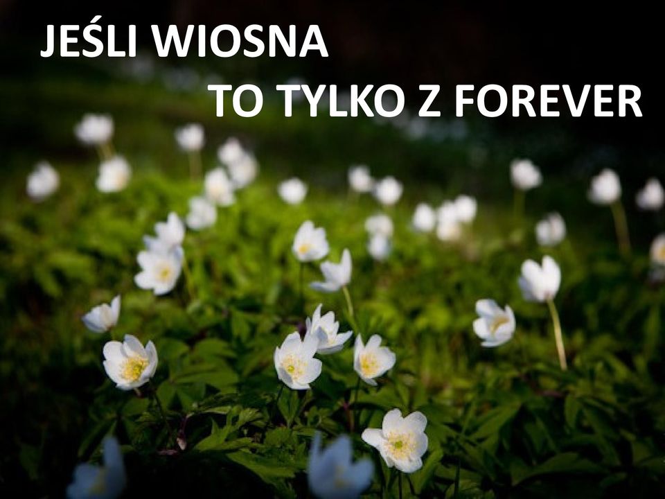 TYLKO Z