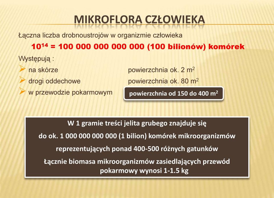 80 m 2 w przewodzie pokarmowym powierzchnia od 150 do 400 m 2 W 1 gramie treści jelita grubego znajduje się do ok.