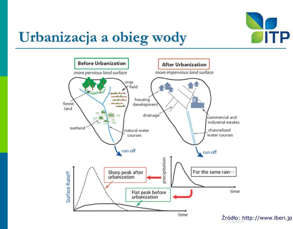 Źródło: