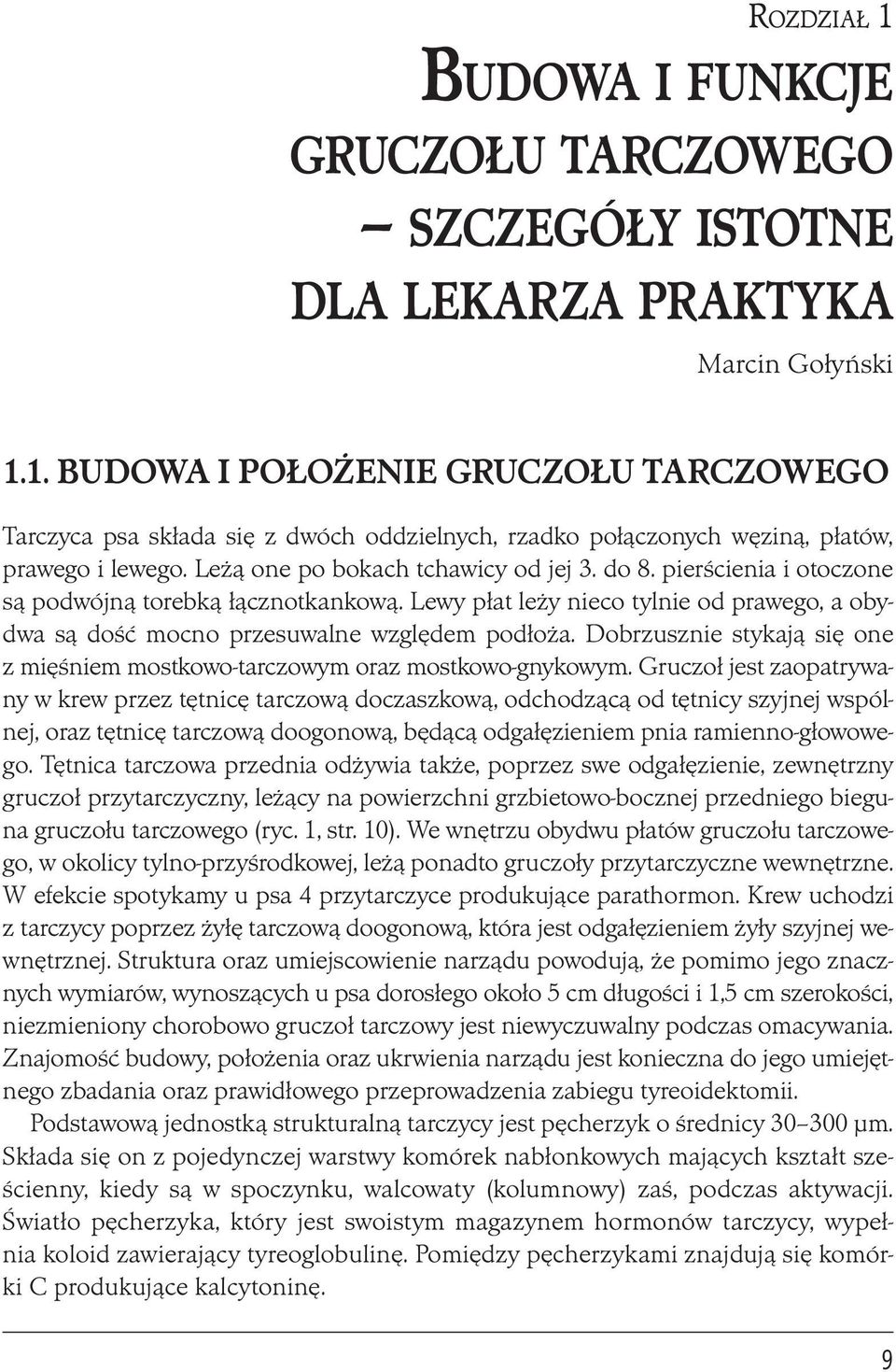 Dobrzusznie stykają się one z mięśniem mostkowo-tarczowym oraz mostkowo-gnykowym.