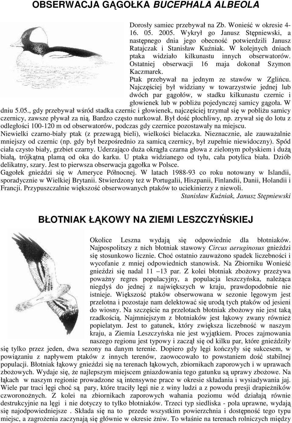 Ostatniej obserwacji 16 maja dokonał Szymon Kaczmarek. Ptak przebywał na jednym ze stawów w Zglińcu.