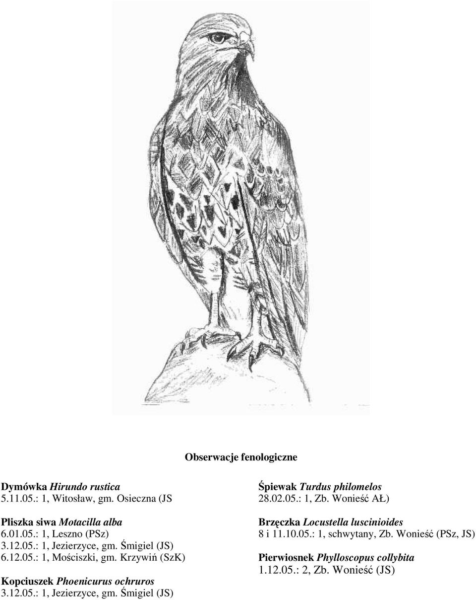 02.05.: 1, Zb. Wonieść AŁ) Brzęczka Locustella luscinioides 8 i 11.10.05.: 1, schwytany, Zb.