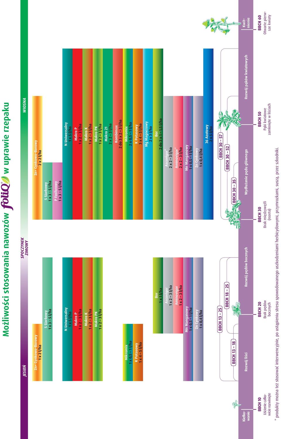 3 5 l/ha P Fosforowy 1 x 3 5 l/ha Zn+ Cynkowo Borowy 2 x 2 l/ha Ascovigor* 2 x 2 3 l/ha Aminovigor* 2 x 2 3 l/ha Mn Manganowy 1 x 0,5 1 l/ha Zn Cynkowy 1 x 0,4 l/ha N Uniwersalny 1 x 5 l/ha Makro P 1