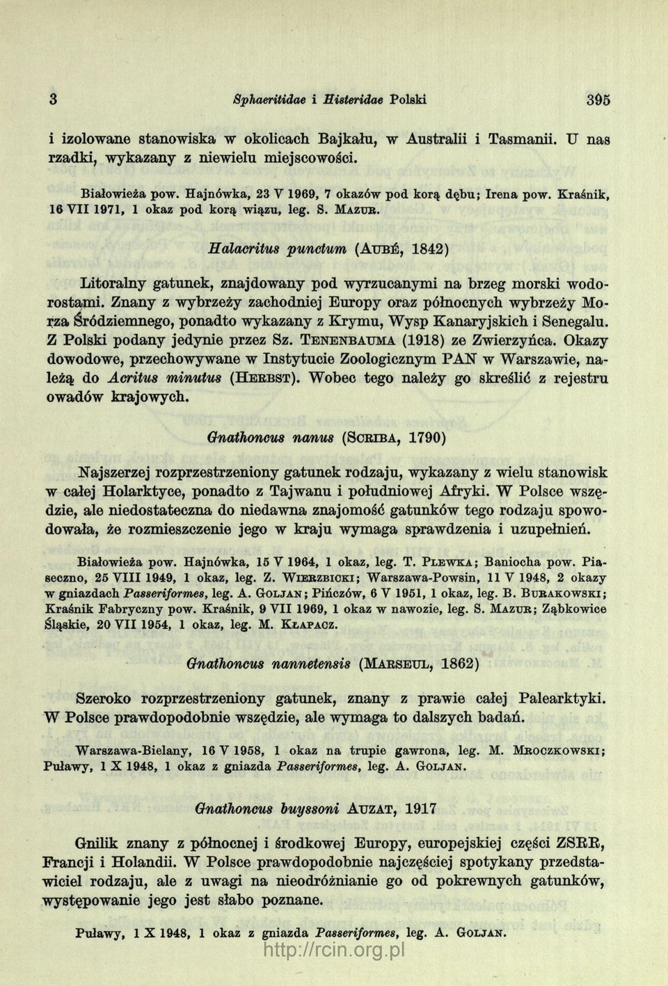 Halacritus punctum (Aubś, 1842) Litoralny gatunek, znajdowany pod wyrzucanymi na brzeg morski wodo rostami.