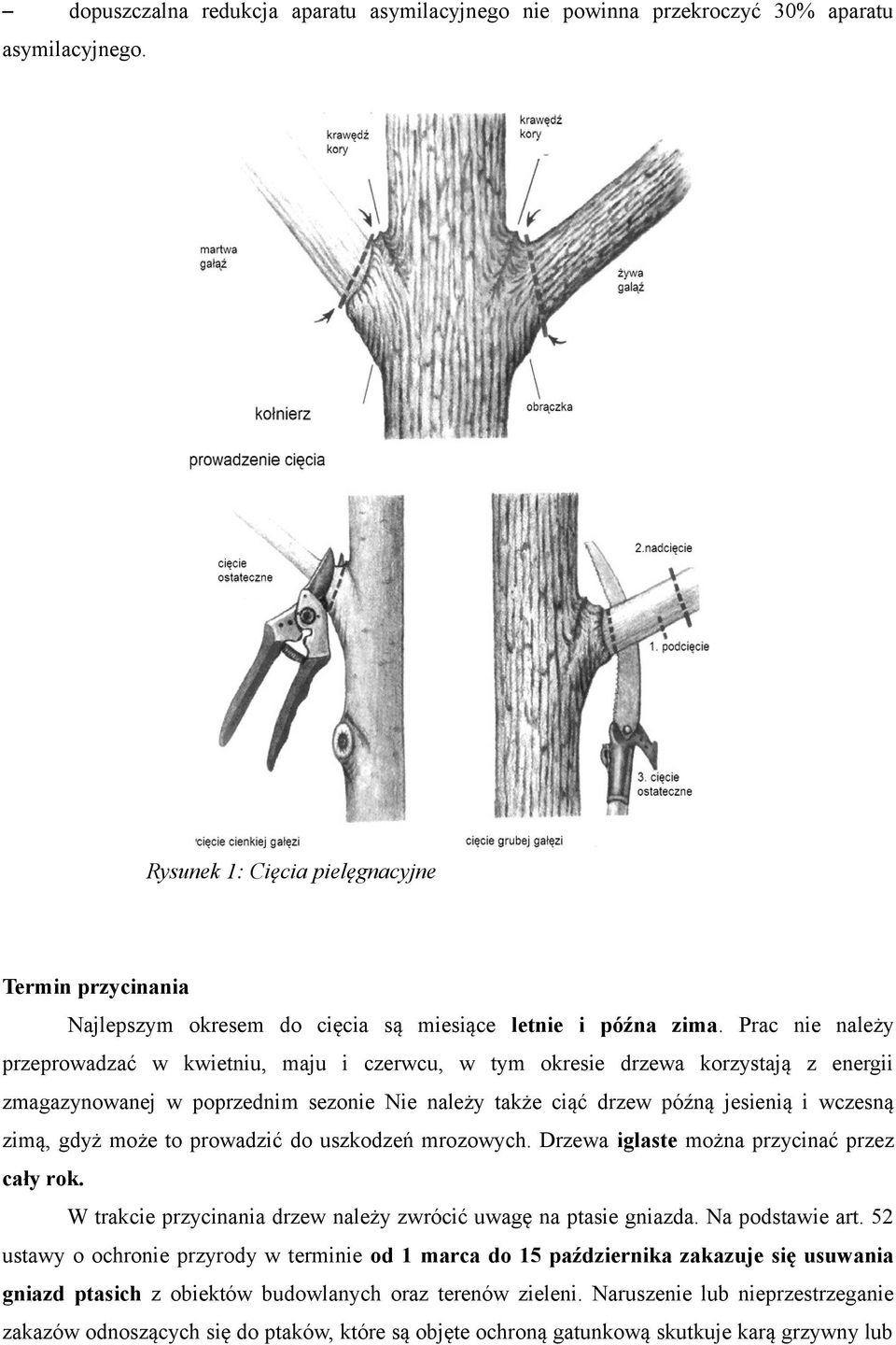 Prac nie należy przeprowadzać w kwietniu, maju i czerwcu, w tym okresie drzewa korzystają z energii zmagazynowanej w poprzednim sezonie Nie należy także ciąć drzew późną jesienią i wczesną zimą, gdyż