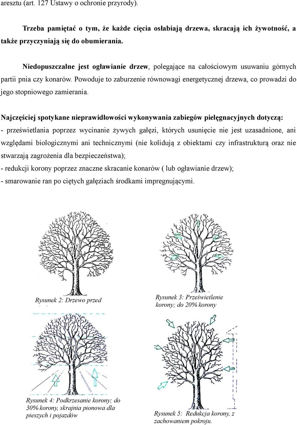 Powoduje to zaburzenie równowagi energetycznej drzewa, co prowadzi do jego stopniowego zamierania.