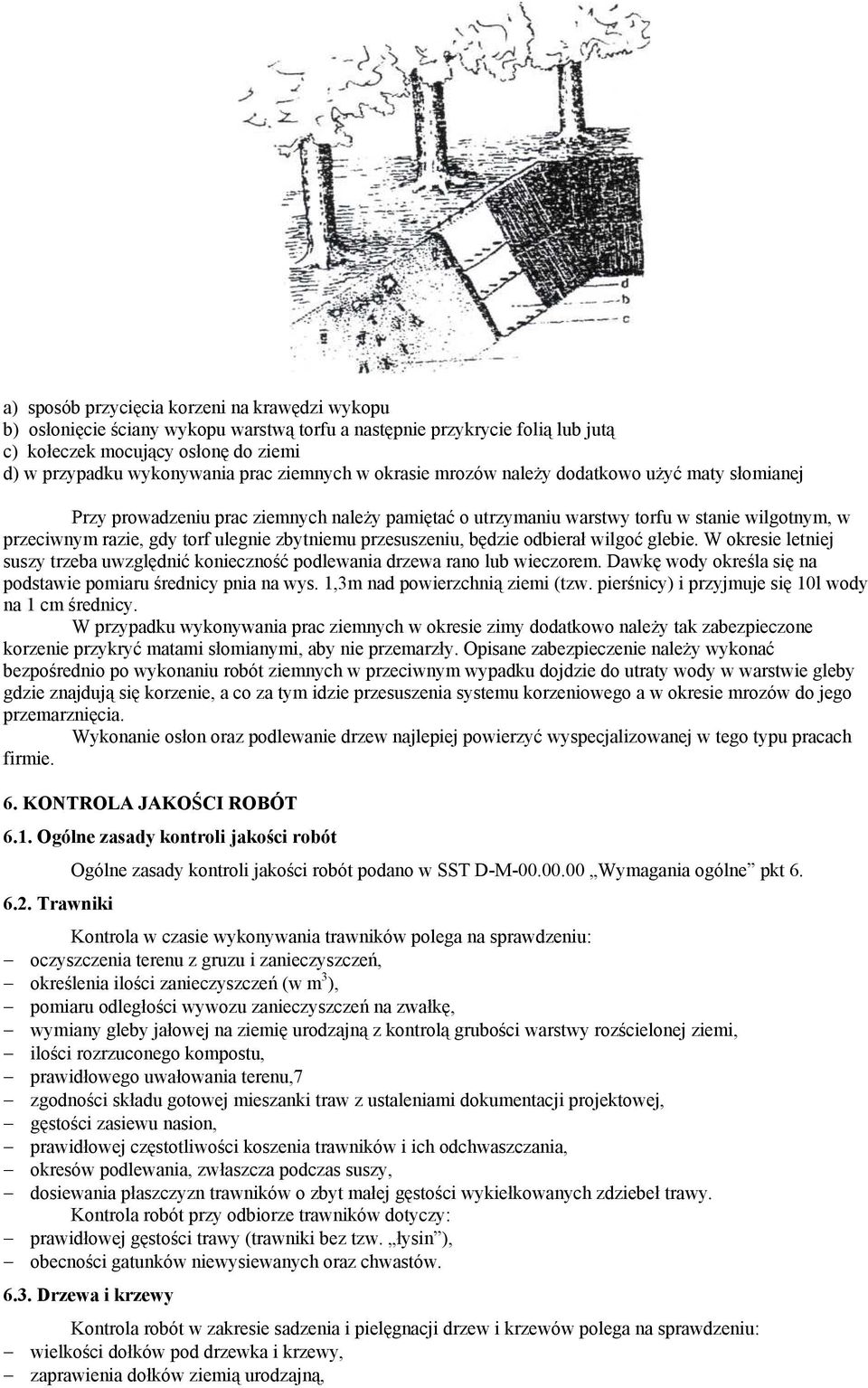 zbytniemu przesuszeniu, będzie odbierał wilgoć glebie. W okresie letniej suszy trzeba uwzględnić konieczność podlewania drzewa rano lub wieczorem.