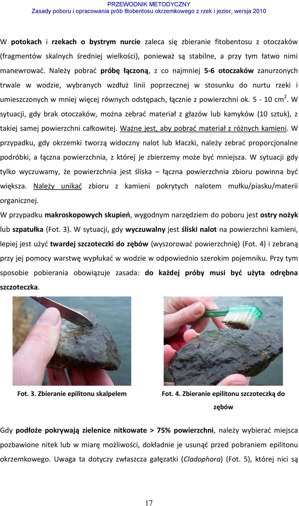 łącznie z powierzchni ok. 5-10 cm 2. W sytuacji, gdy brak otoczaków, można zebrać materiał z głazów lub kamyków (10 sztuk), z takiej samej powierzchni całkowitej.