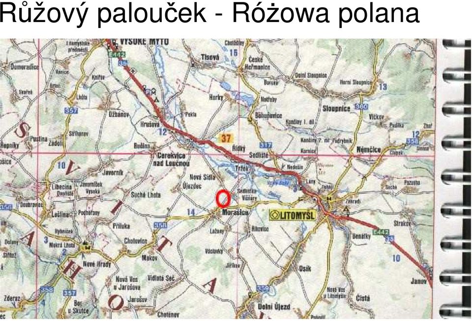 - Różowa