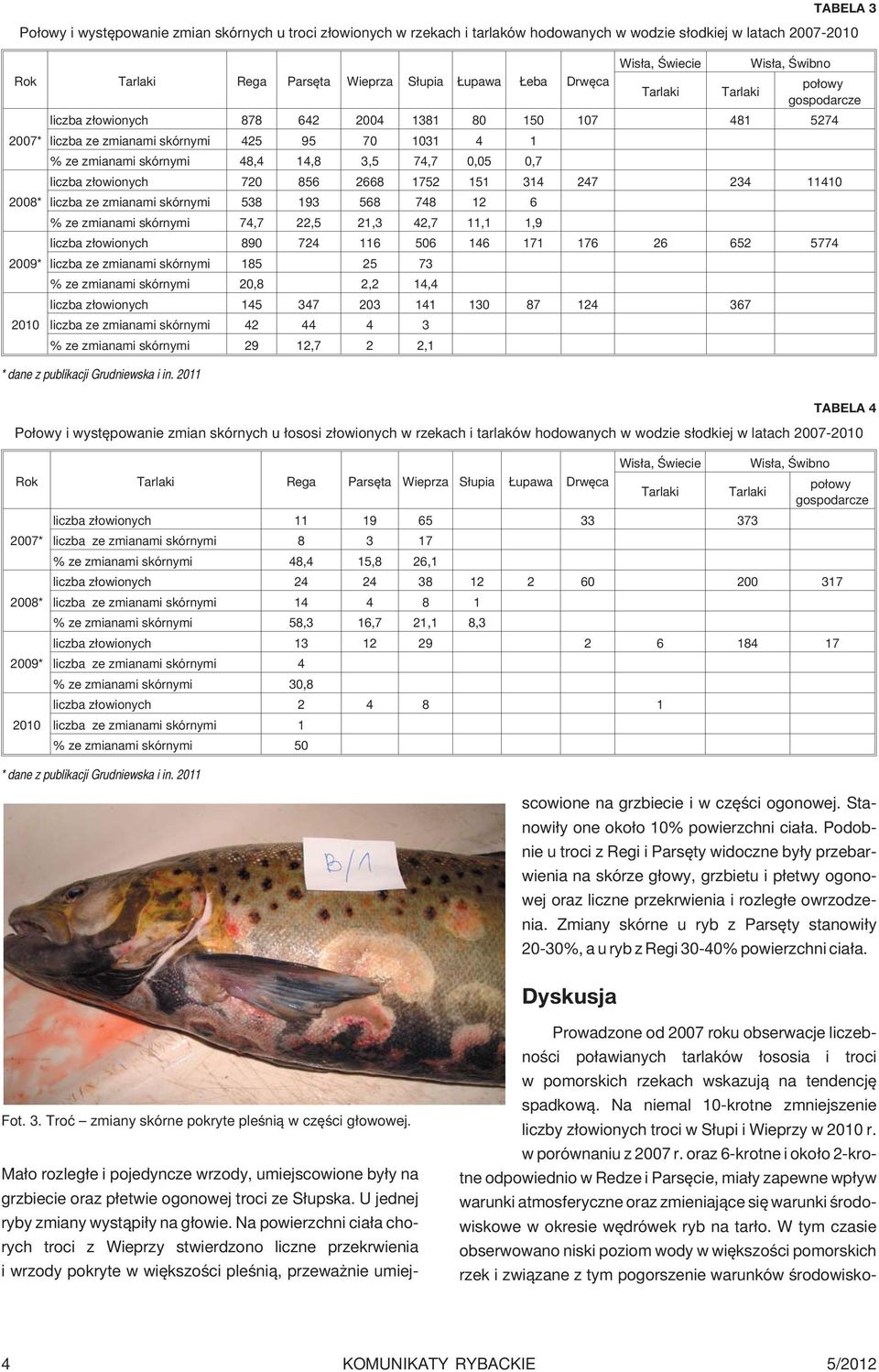 Na powierzchni cia³a chorych troci z Wieprzy stwierdzono liczne przekrwienia i wrzody pokryte w wiêkszoœci pleœni¹, przewa nie umiejscowione na grzbiecie i w czêœci ogonowej.