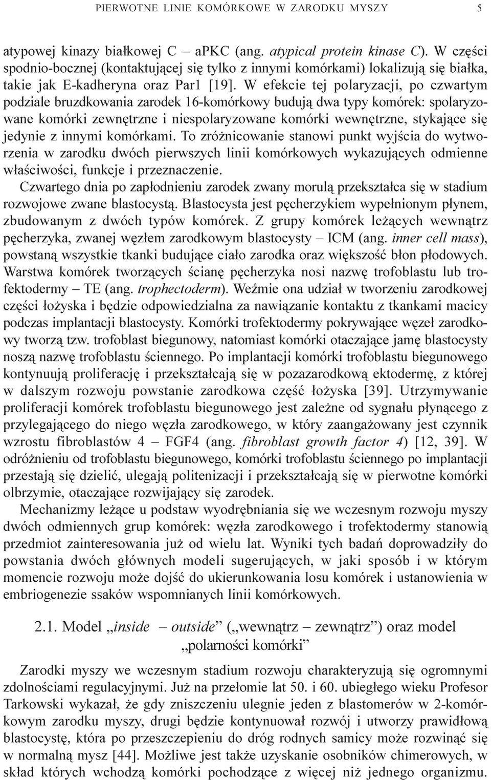 W efekcie tej polaryzacji, po czwartym podziale bruzdkowania zarodek 16-komórkowy buduj¹ dwa typy komórek: spolaryzowane komórki zewnêtrzne i niespolaryzowane komórki wewnêtrzne, stykaj¹ce siê