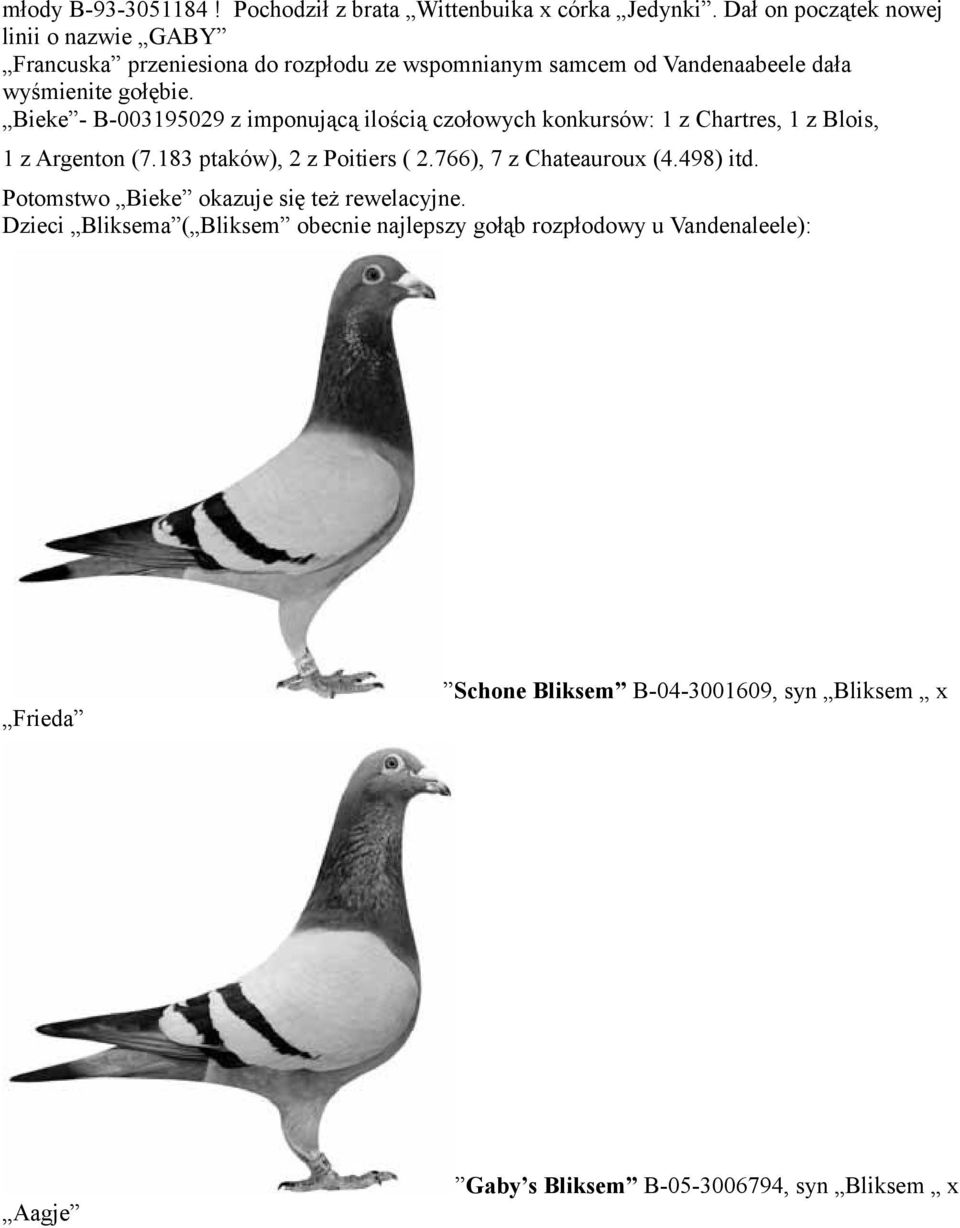 Bieke - B-003195029 z imponującą ilością czołowych konkursów: 1 z Chartres, 1 z Blois, 1 z Argenton (7.183 ptaków), 2 z Poitiers ( 2.