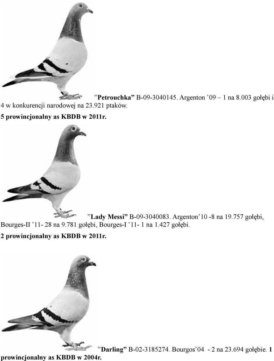757 gołębi, Bourges-II 11-28 na 9.781 gołębi, Bourges-I 11-1 na 1.427 gołębi.