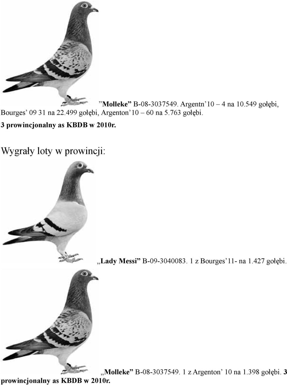 Wygrały loty w prowincji: Lady Messi B-09-3040083. 1 z Bourges 11- na 1.