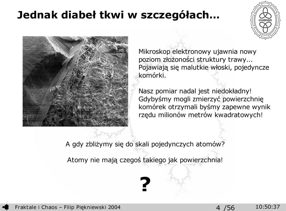 Gdybyśmy mogli zmierzyć powierzchnię komórek otrzymali byśmy zapewne wynik rzędu milionów metrów