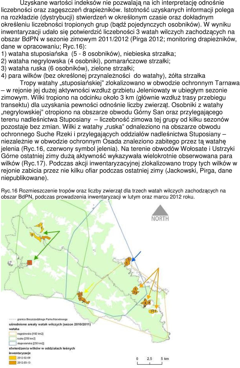 W wyniku inwentaryzacji udało się potwierdzić liczebności 3 watah wilczych zachodzących na obszar BdPN w sezonie zimowym 2011/2012 (Pirga 2012; monitoring drapieŝników, dane w opracowaniu; Ryc.