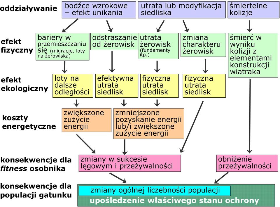 ) efektywna utrata siedlisk fizyczna utrata siedlisk zmiana charakteru Ŝerowisk fizyczna utrata siedlisk śmierć w wyniku kolizji z elementami konstrukcji wiatraka koszty energetyczne
