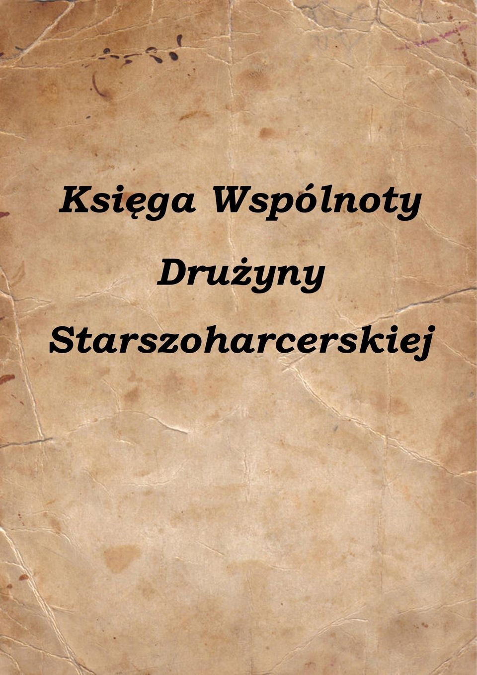 Drużyny