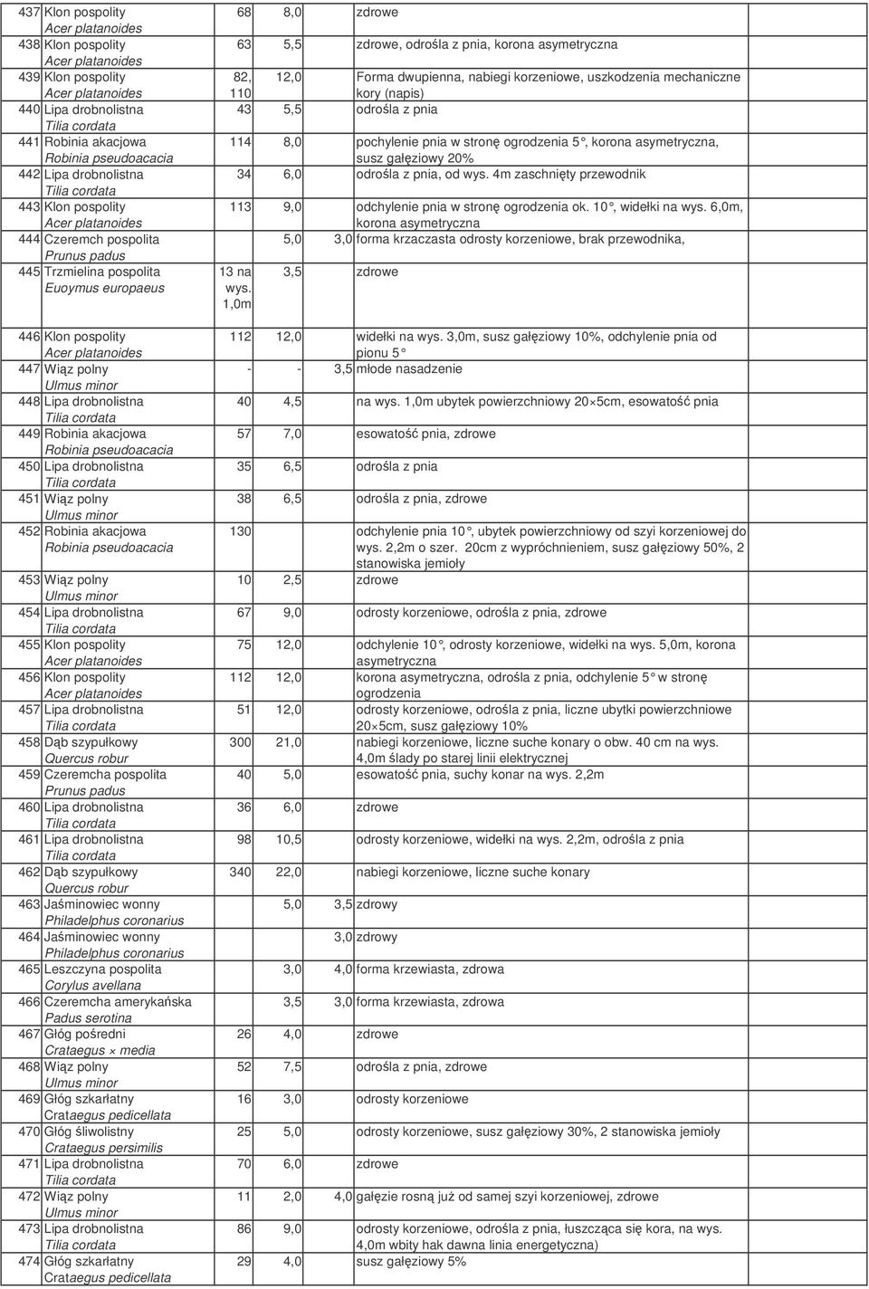 456 Klon pospolity 457 Lipa drobnolistna 458 Db szypułkowy 459 Czeremcha pospolita 460 Lipa drobnolistna 461 Lipa drobnolistna 462 Db szypułkowy 463 Jaminowiec wonny Philadelphus coronarius 464