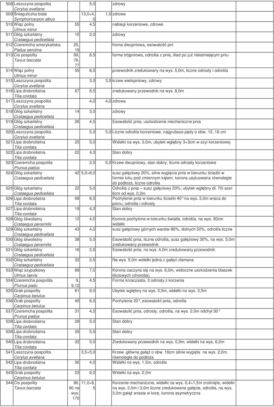 szkarłatny 526 Lipa drobnolistna 527 Lipa drobnolistna 528 Głóg liwolistny Crataegus persimilis 529 Głóg szkarłatny 530 Głóg liwolistny Crataegus persimilis 531 Głóg szkarłatny 532 Głóg szkarłatny