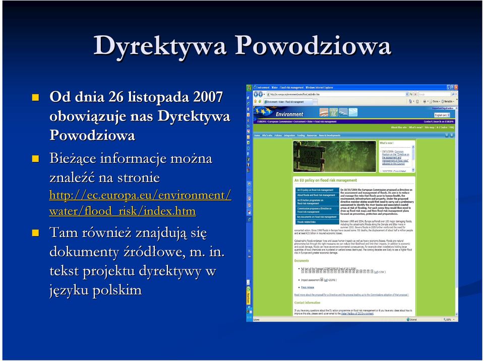 europa.eu/environment/ water/flood_risk/index.