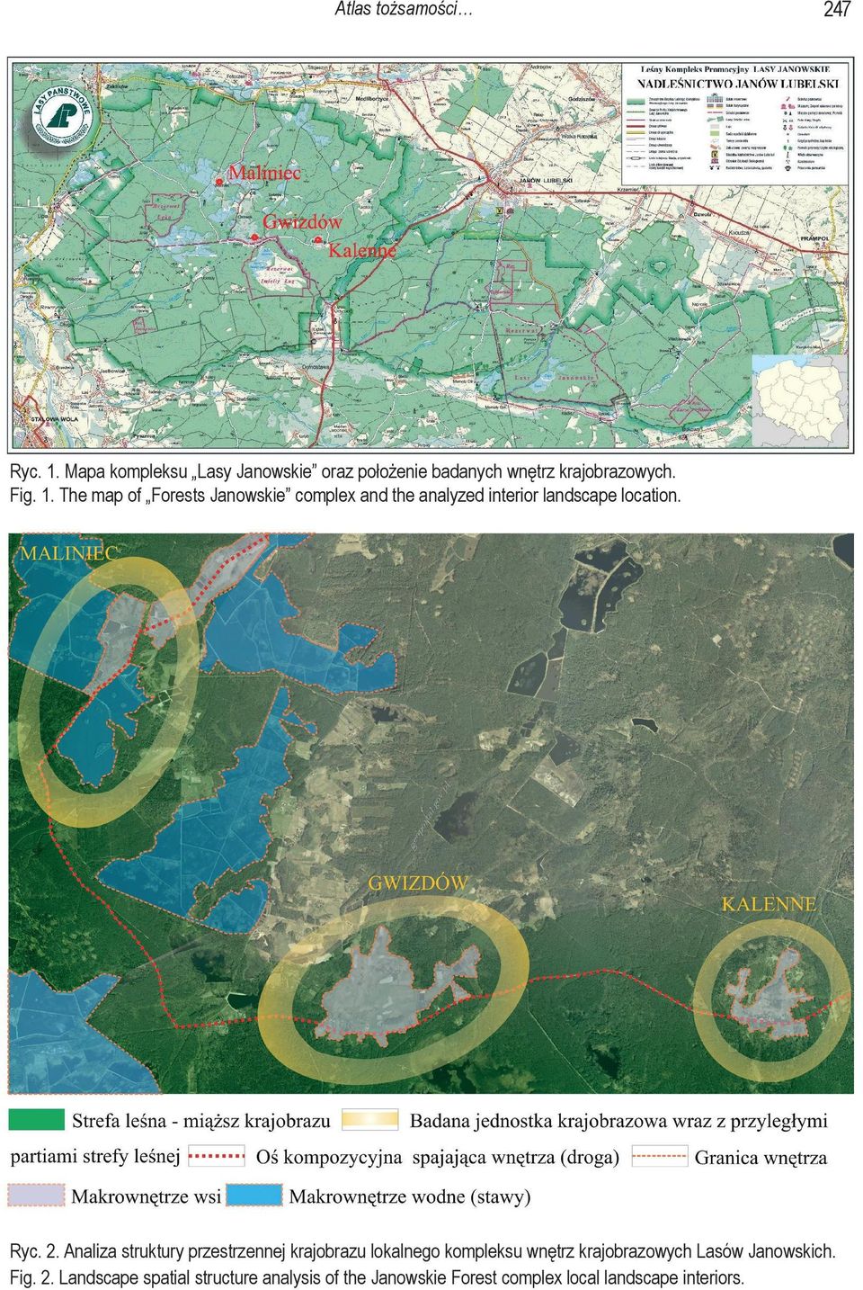 The map of Forests Janowskie complex and the analyzed interior landscape location. Ryc. 2.