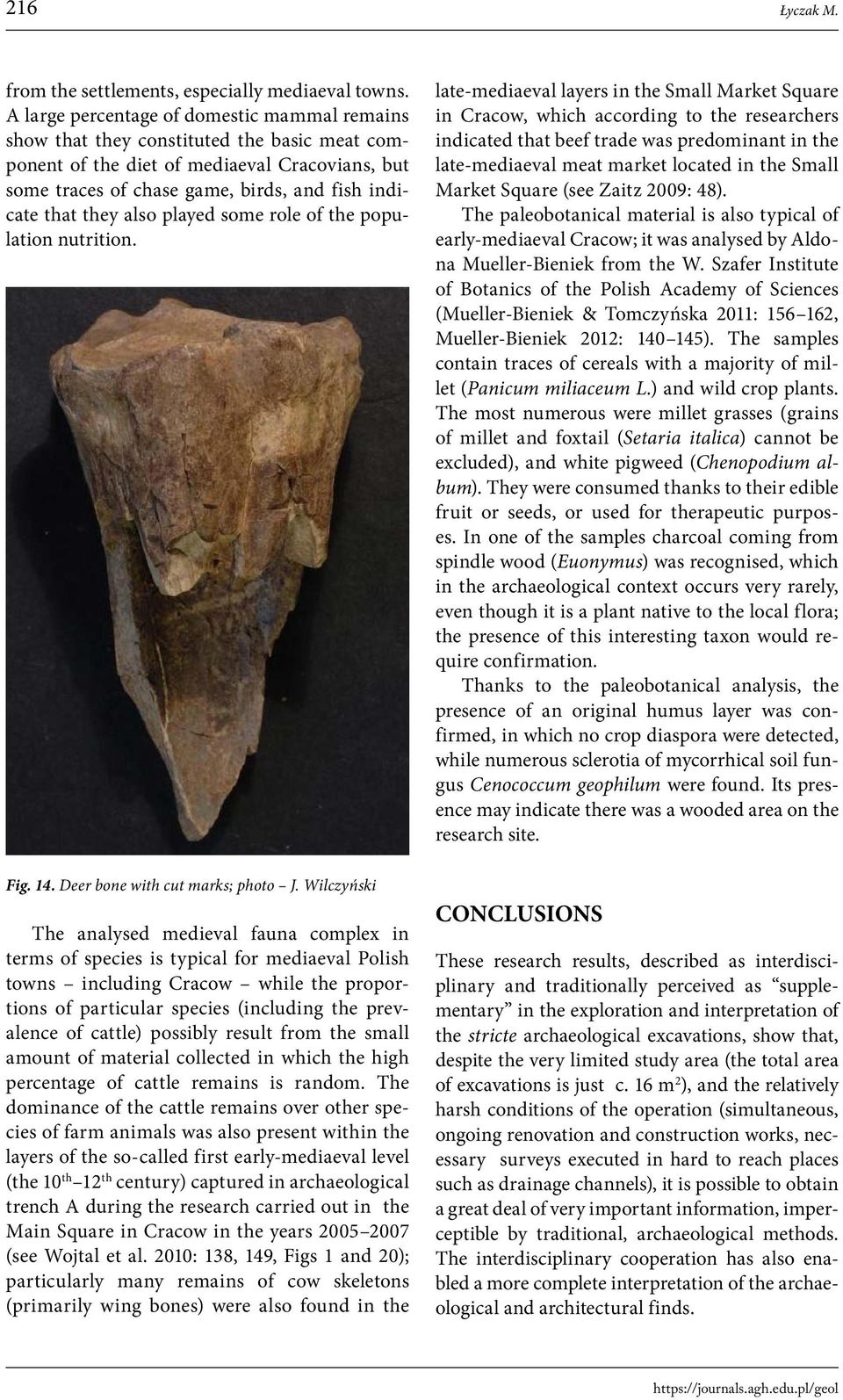 they also played some role of the population nutrition. Fig. 14. Deer bone with cut marks; photo J.