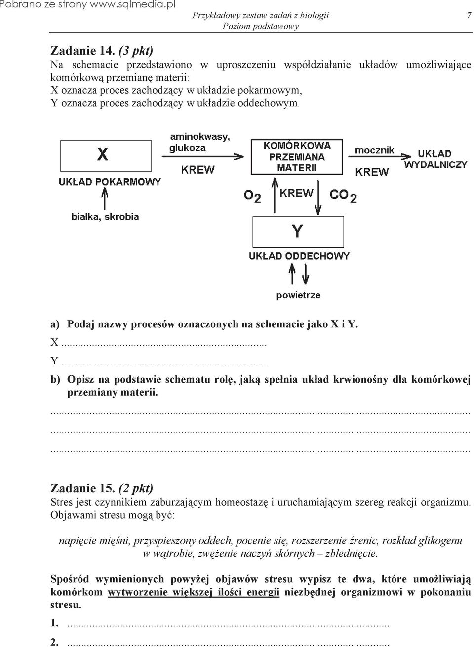 adzie oddechowym. a) Podaj nazwy procesów oznaczonych na schemacie jako X i Y. X... Y... b) Opisz na podstawie schematu rol, jak spe nia uk ad krwiono ny dla komórkowej przemiany materii. Zadanie 15.