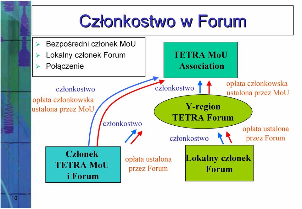 Y-region TETRA Forum członkostwo opłata członkowska ustalona przez MoU opłata ustalona