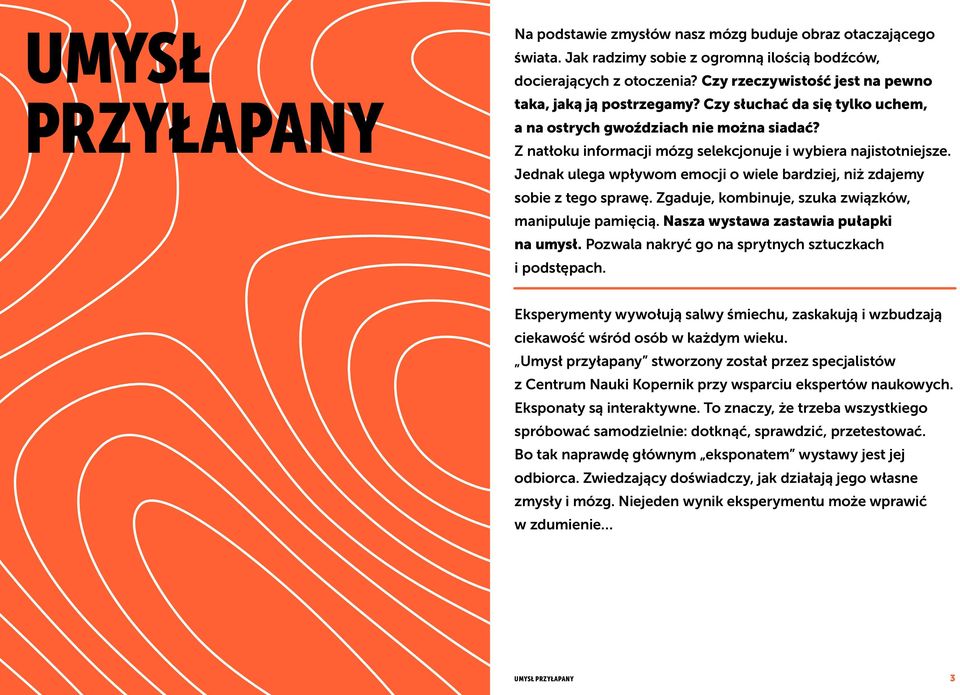 Jednak ulega wpływom emocji o wiele bardziej, niż zdajemy sobie z tego sprawę. Zgaduje, kombinuje, szuka związków, manipuluje pamięcią. Nasza wystawa zastawia pułapki na umysł.
