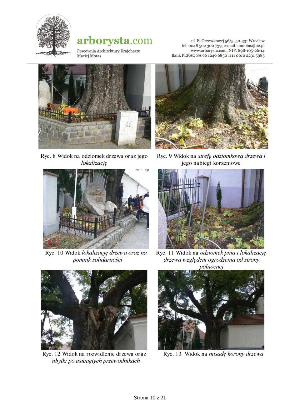 10 Widok lokalizację drzewa oraz na pomnik solidarności Ryc.
