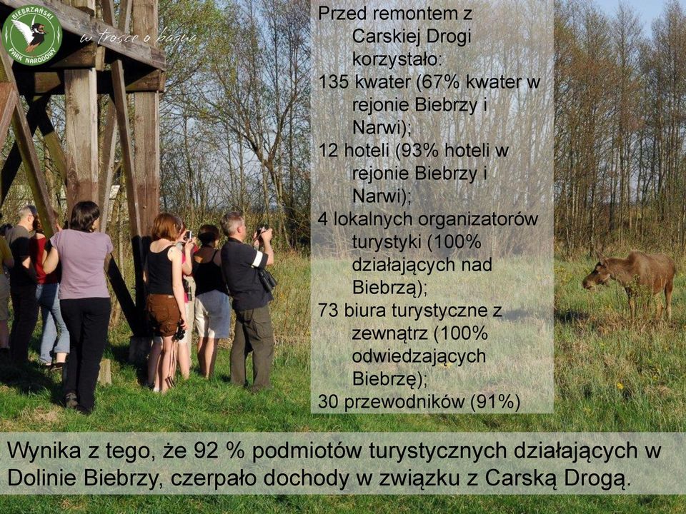 Biebrzą); 73 biura turystyczne z zewnątrz (100% odwiedzających Biebrzę); 30 przewodników (91%) Wynika z