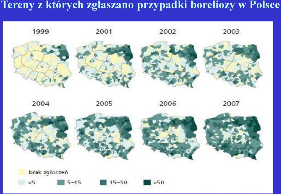 zgłaszano