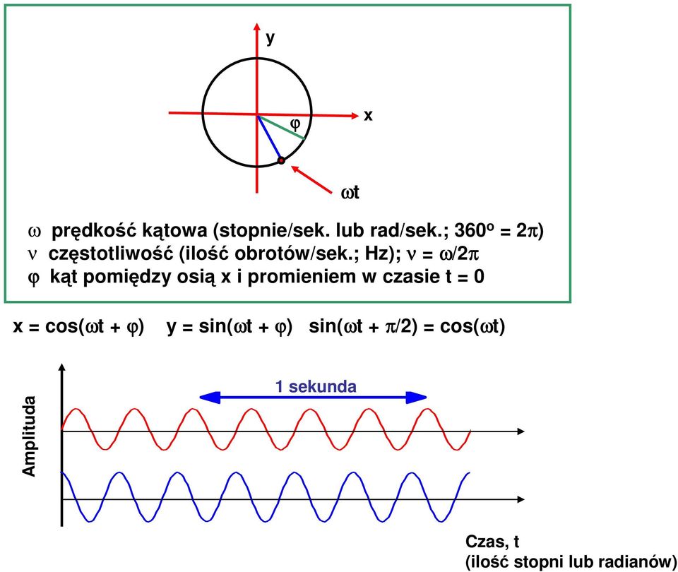 ; Hz); ν = ω/2π ϕ kąt pomiędzy osią x i promieniem w czasie t = 0 x =