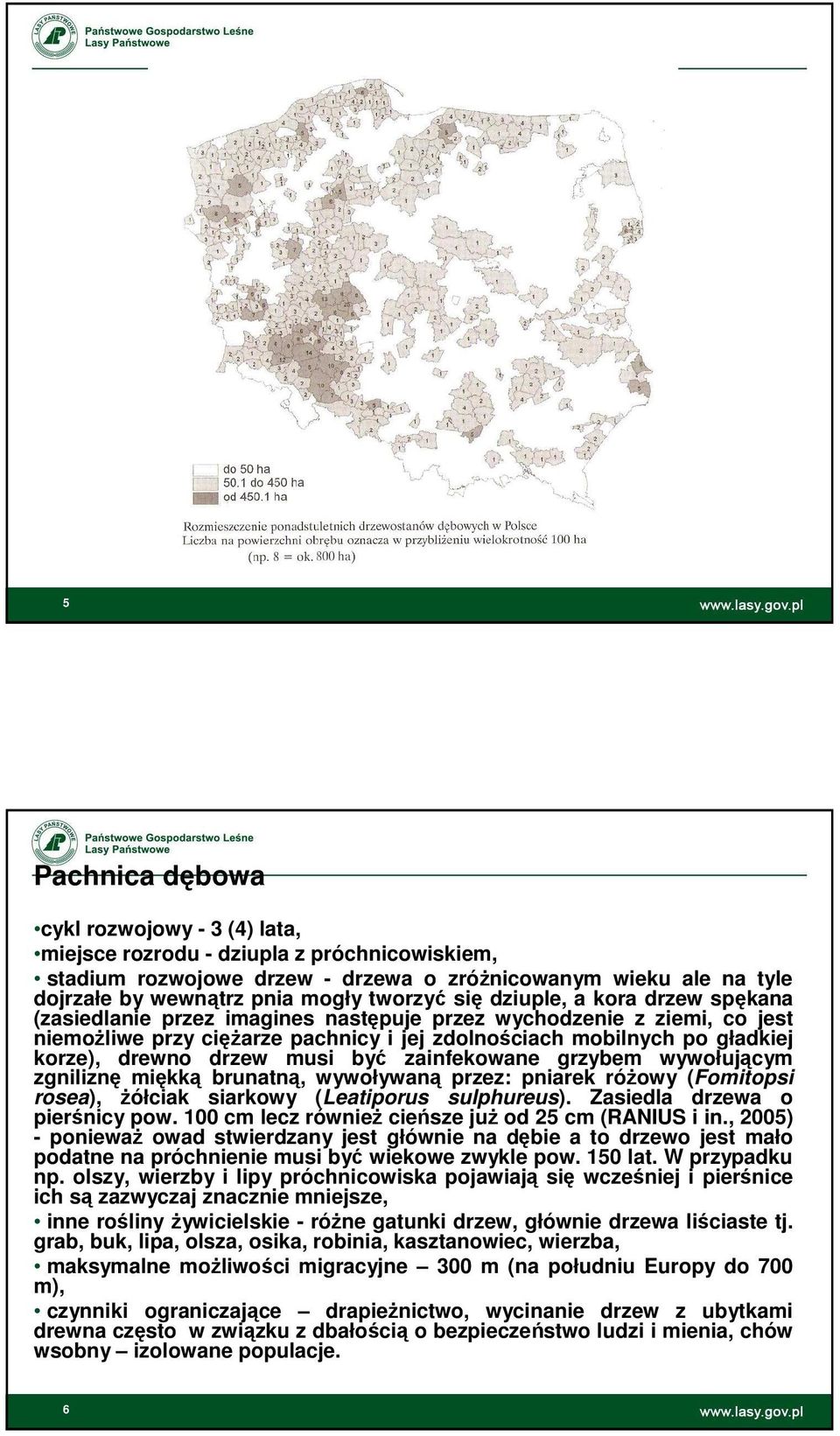 drzew musi być zainfekowane grzybem wywołującym zgniliznę miękką brunatną, wywoływaną przez: pniarek różowy (Fomitopsi rosea), żółciak siarkowy (Leatiporus sulphureus).