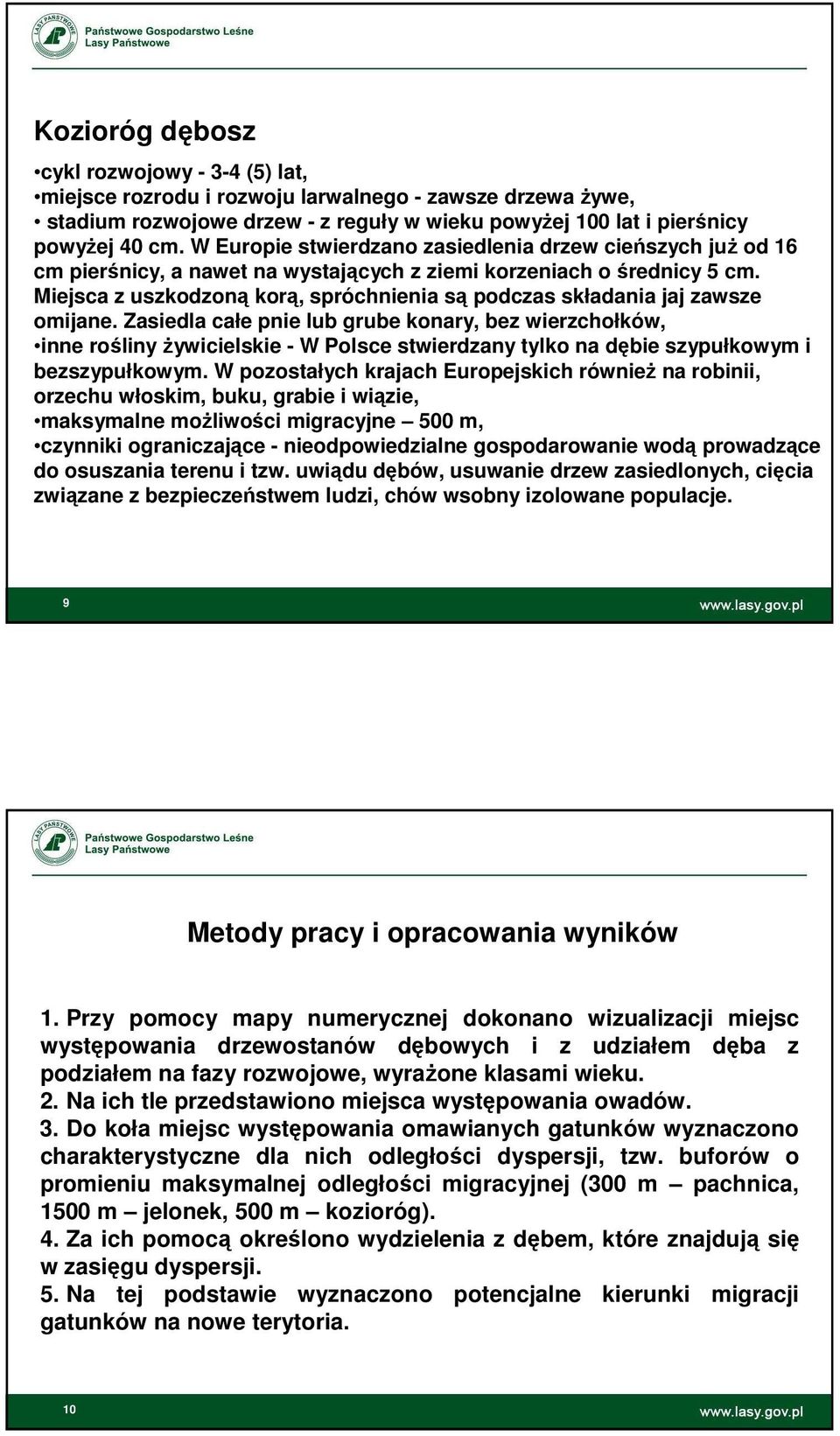 Miejsca z uszkodzoną korą, spróchnienia są podczas składania jaj zawsze omijane.