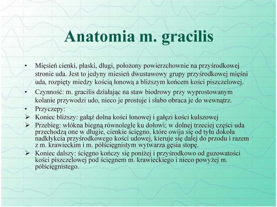 gracilis działając na staw biodrowy przy wyprostowanym kolanie przywodzi udo, nieco je prostuje i słabo obraca je do wewnątrz.