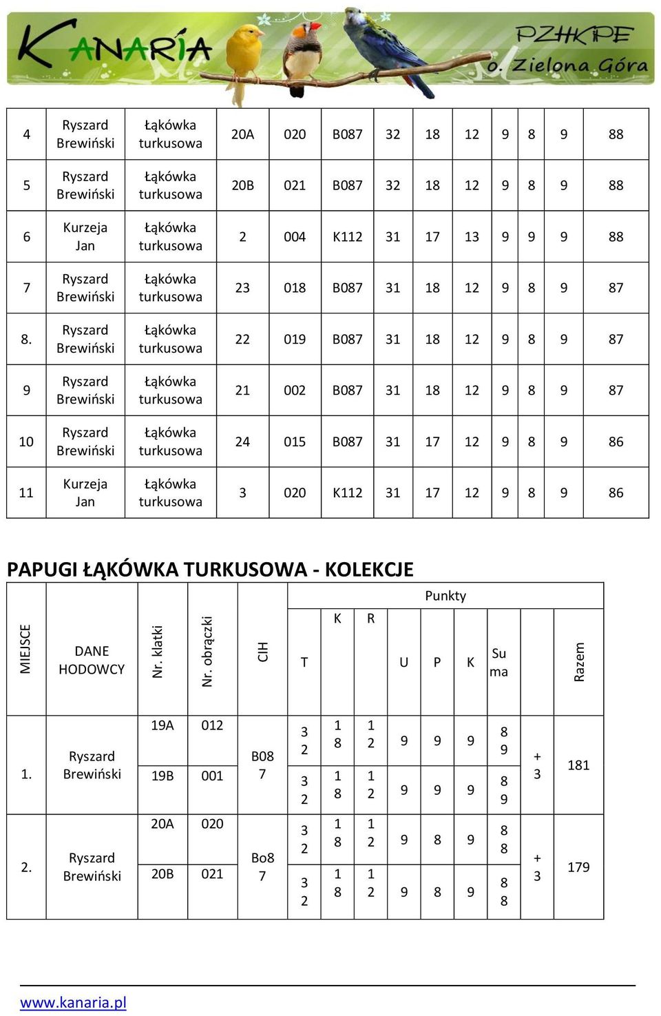 Brewioski Łąkówka turkusowa 09 B0 9 9 9 Brewioski Łąkówka turkusowa 00 B0 9 9 0 Brewioski Łąkówka turkusowa 0 B0