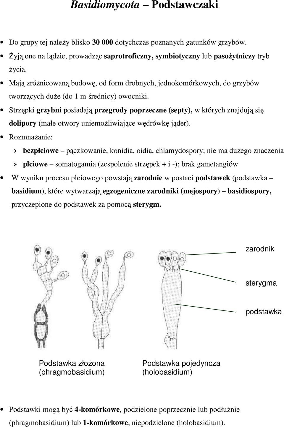 Strzępki grzybni posiadają przegrody poprzeczne (septy), w których znajdują się dolipory (małe otwory uniemoŝliwiające wędrówkę jąder).