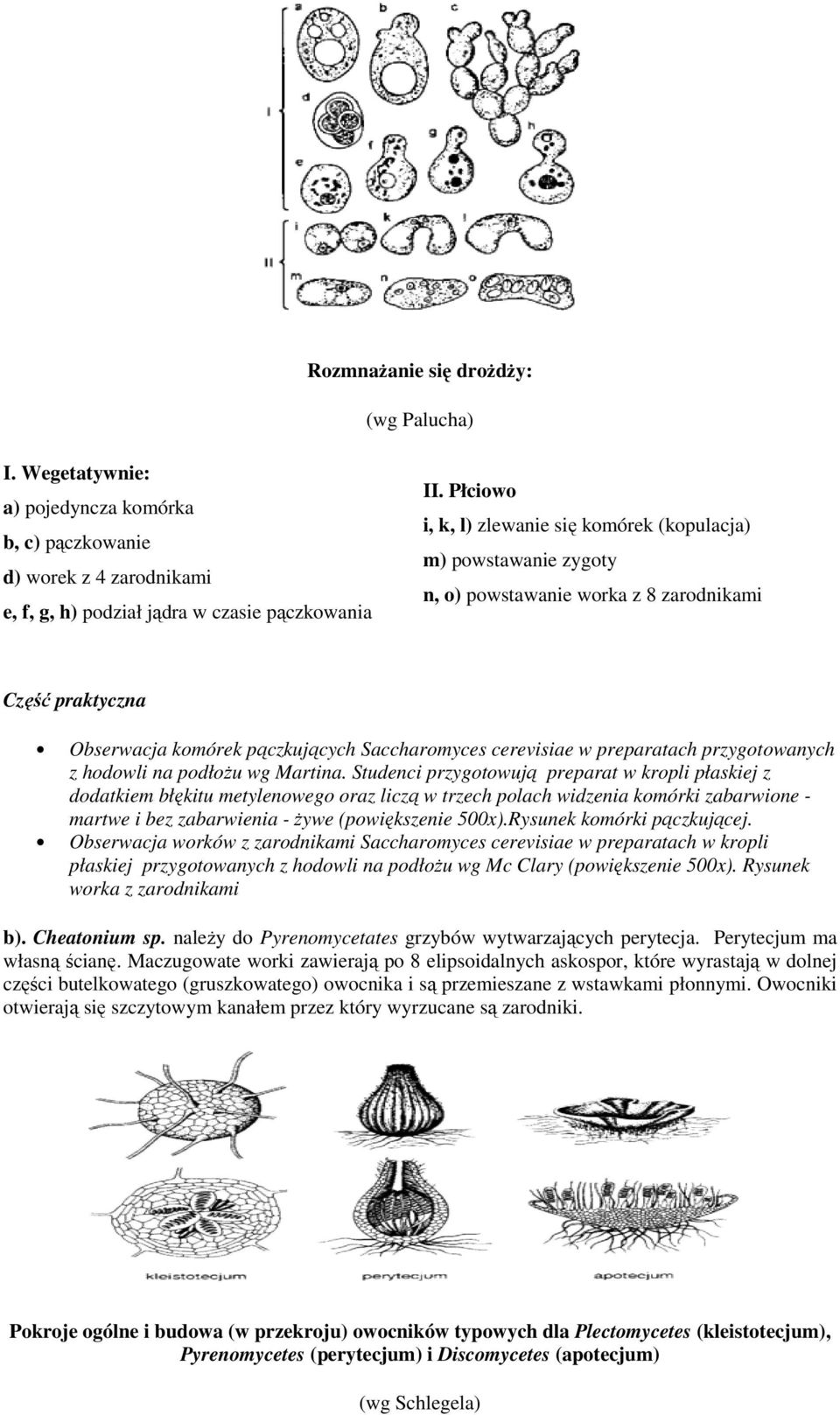 przygotowanych z hodowli na podłożu wg Martina.