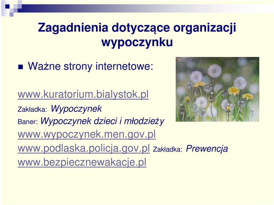 młodzieży www.wypoczynek.men.gov.pl www.podlaska.