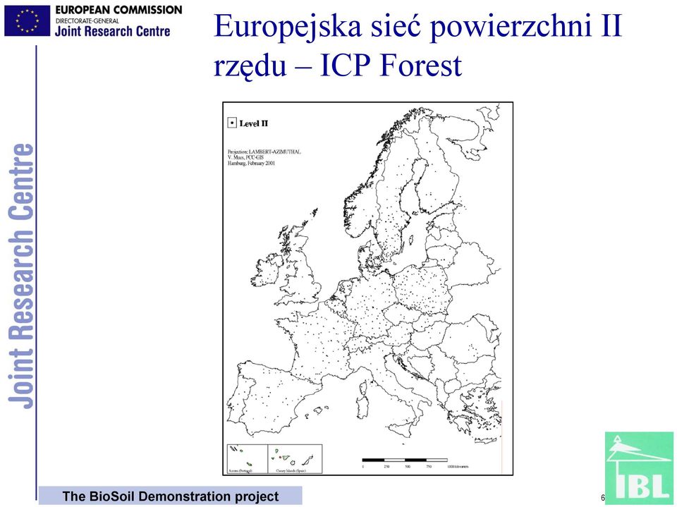 ICP Forest The